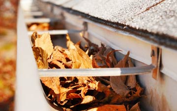 Base Green gutter cleaning companies